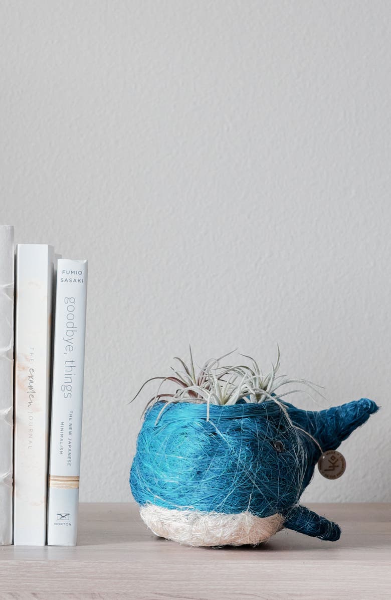 LIKHA Aquatic Animal Coco Coir Planters, Alternate, color, Blue