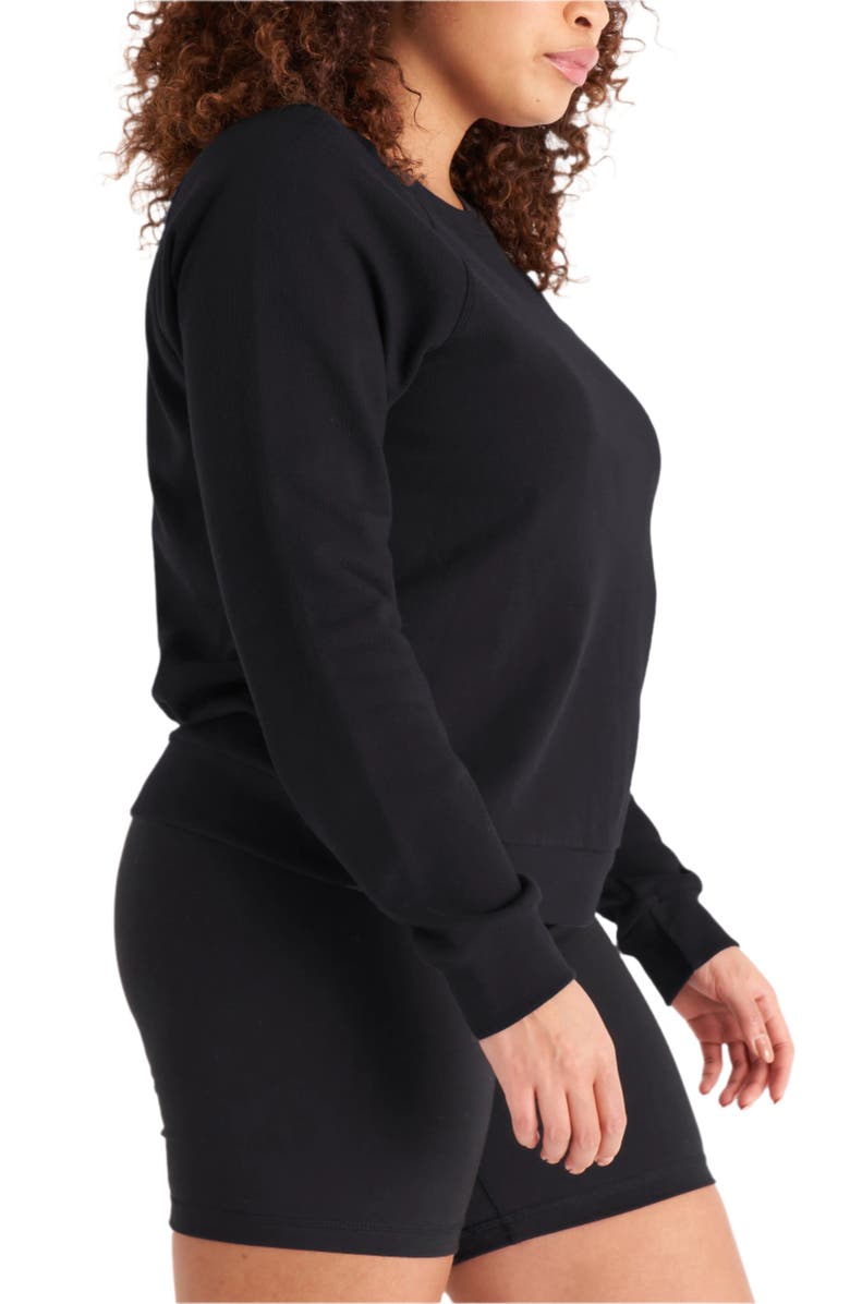 The Standard Stitch The Raglan Sweatshirt, Alternate, color, Onyx
