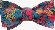 Beau Ties of Vermont Kimbolton Bow Tie