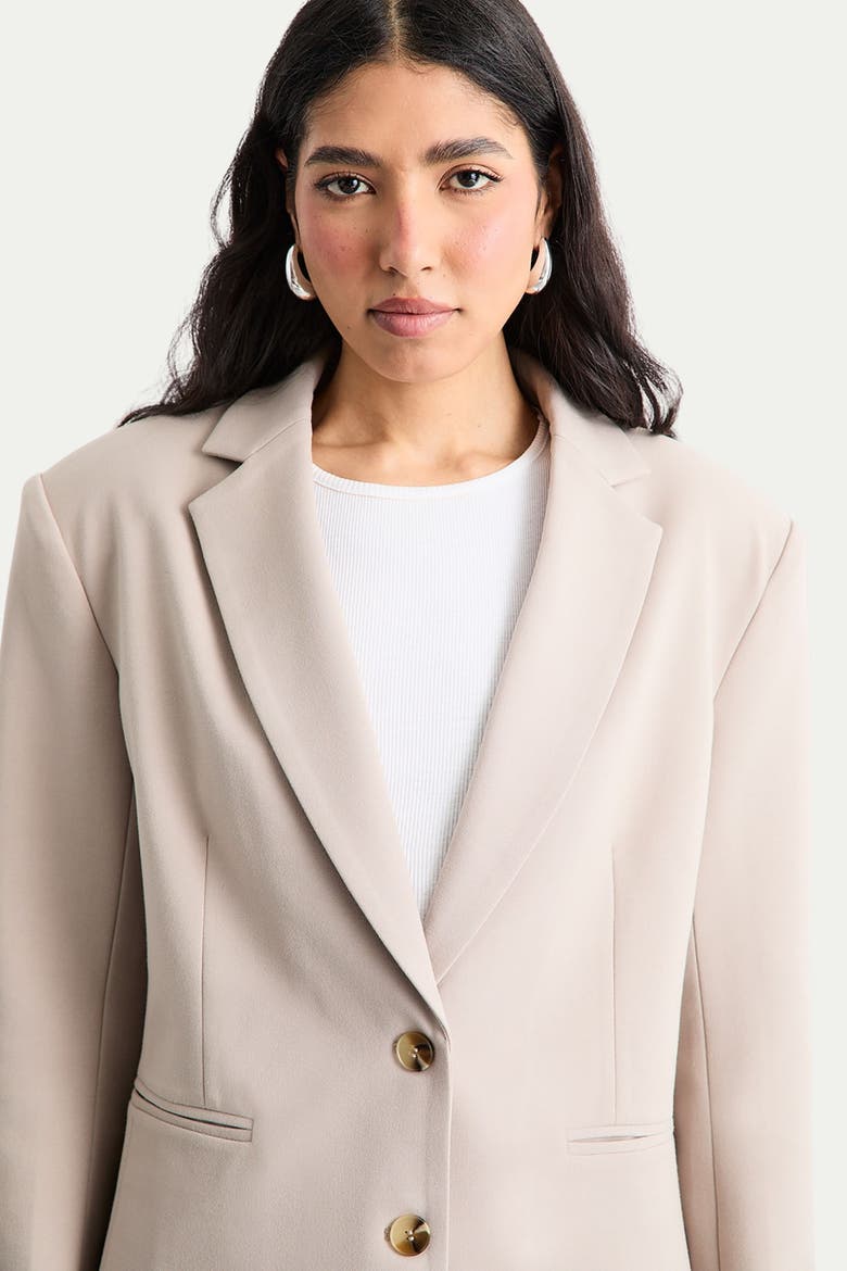 Oversized Single Breasted Blazer, Alternate, color, Stone