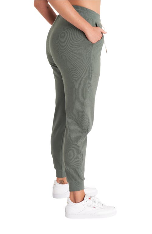 The Standard Stitch The Everyday Jogger In Thyme