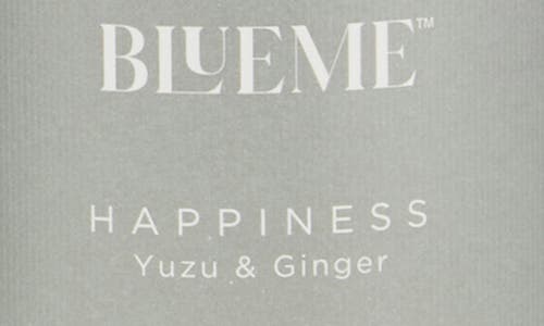 Blueme Happiness Large Reed Diffuser Refill In Gray