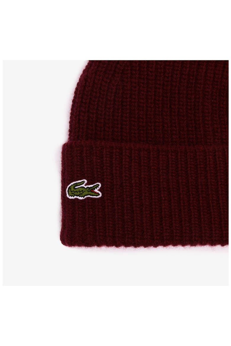 Ribbed Cashmere Blend Beanie, Alternate, color, ZIN