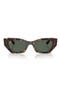  Havana / Dark Green