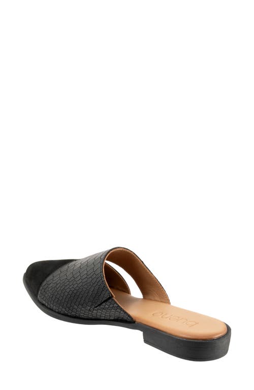 Bueno Blaze Pointed Toe Mule In Black