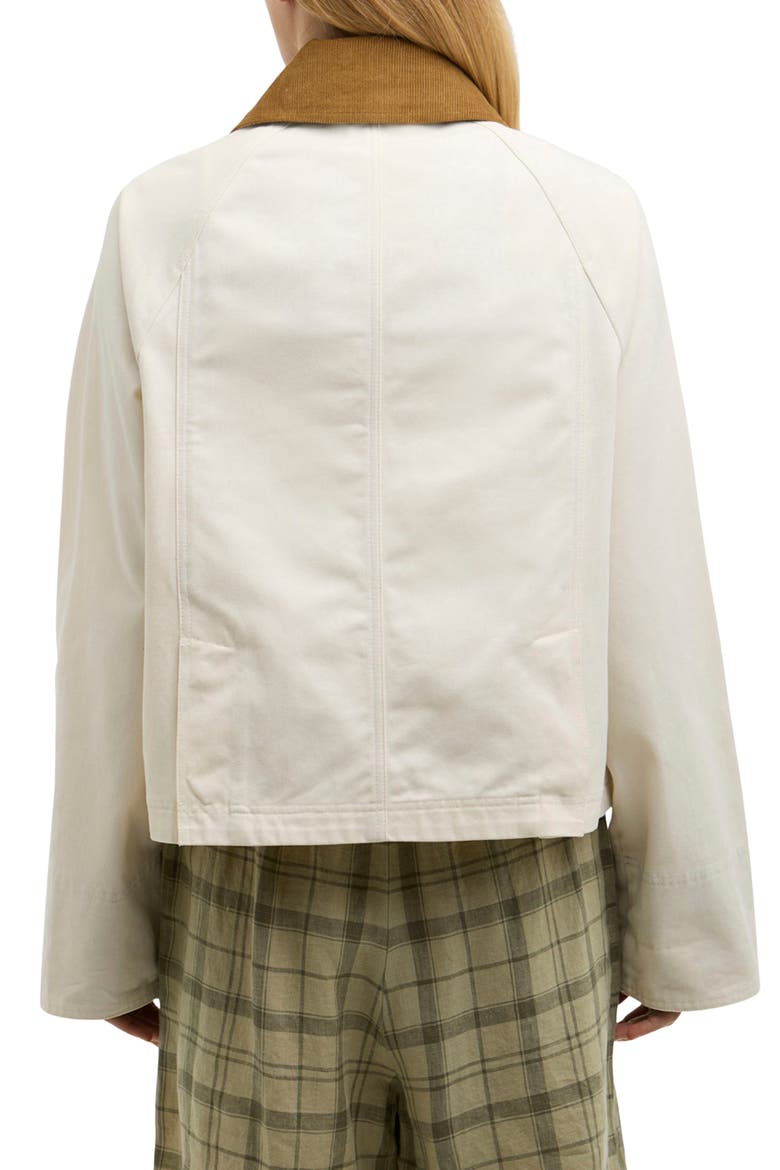 Beadnell Crop Cotton Jacket, Alternate, color, LIGHT PEARL/ DRESS