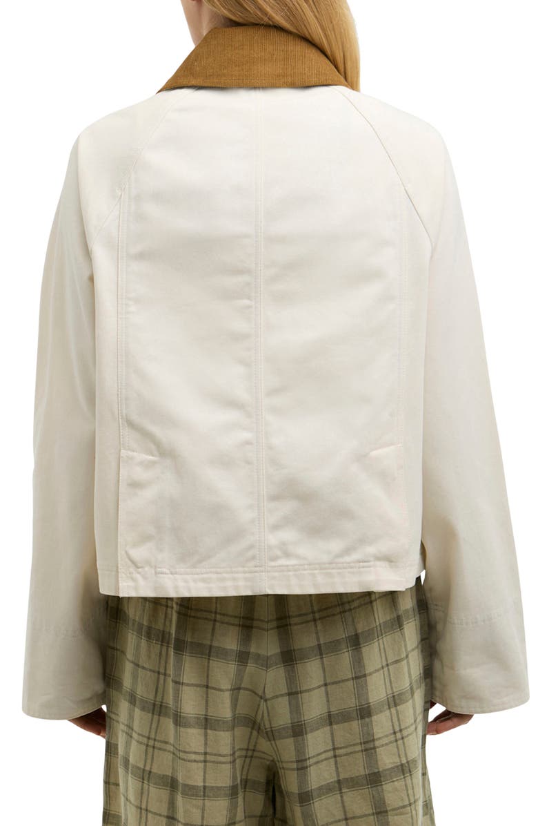 Barbour Beadnell Crop Cotton Jacket, Alternate, color, Light Pearl/ Dress
