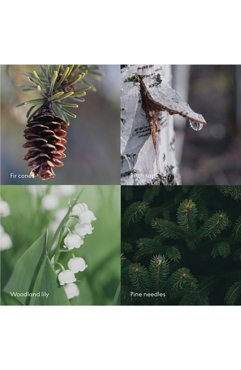 SKANDINAVISK Scent Diffuser SKOG 200ml, Alternate, color, Green