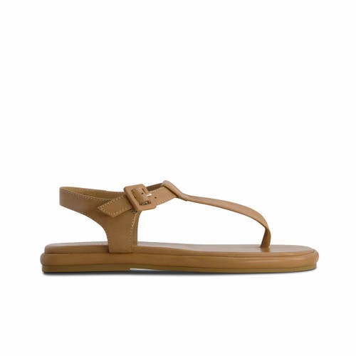 Shop Bernardo Footwear Tucson T-strap Sandal