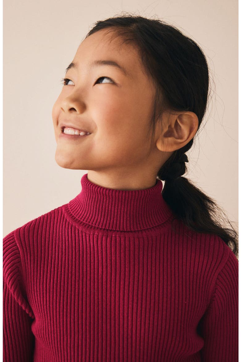 Kids' Rib Turtleneck Sweater, Alternate, color, RED