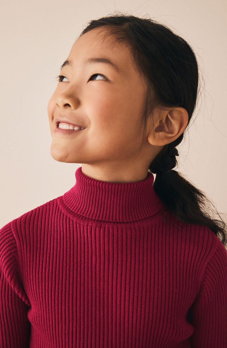 NEXT Kids' Rib Turtleneck Sweater, Alternate, color, Red