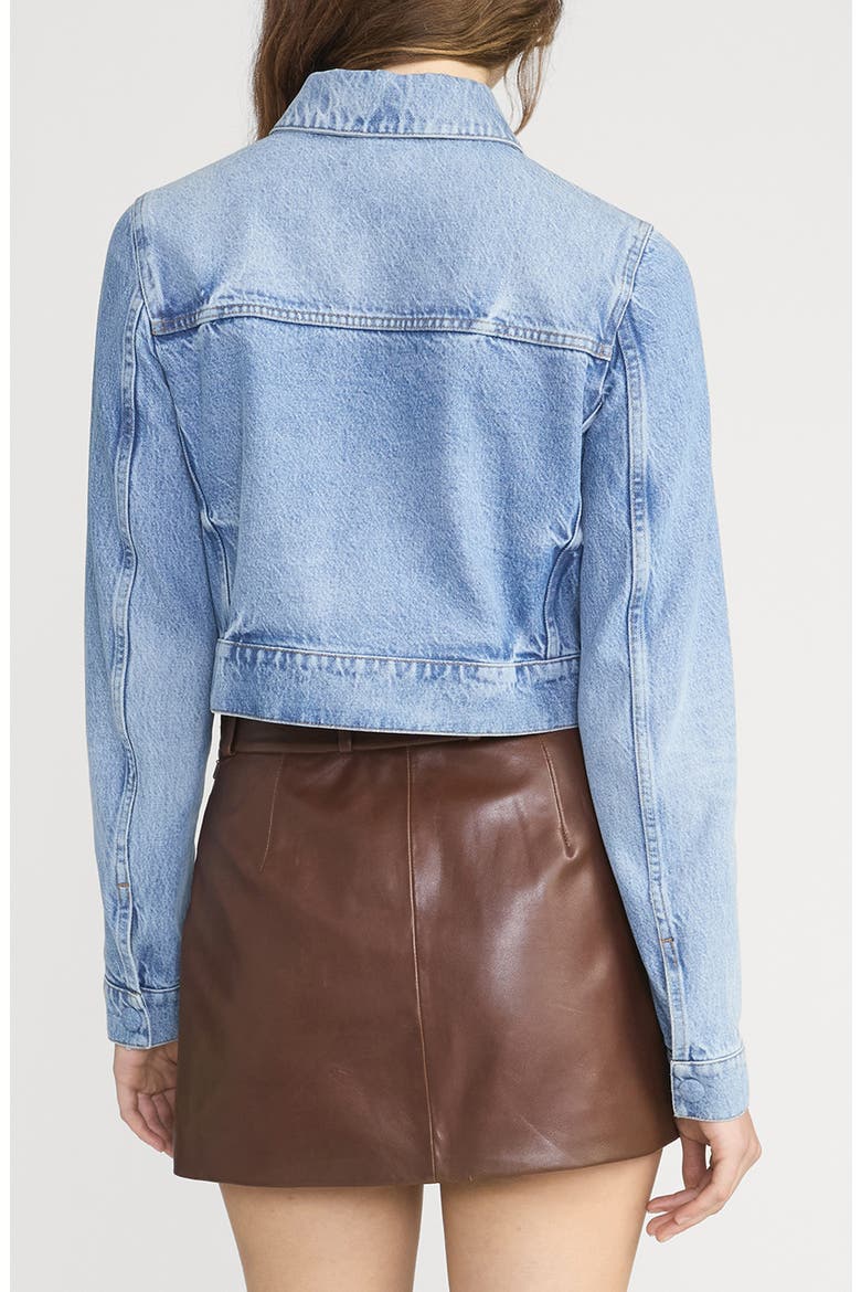 The Small Denim Jacket, Alternate, color, DAWN