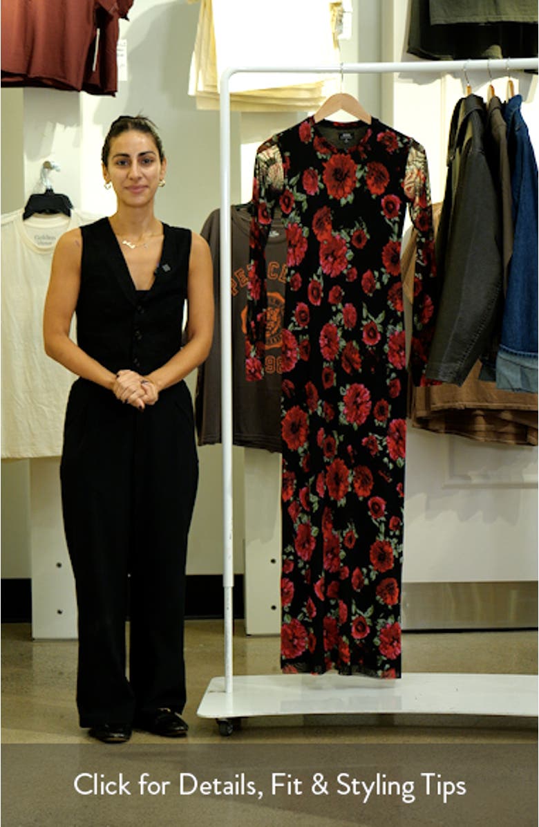 Didi Printed Long Sleeve Mesh Maxi Dress, sales video thumbnail