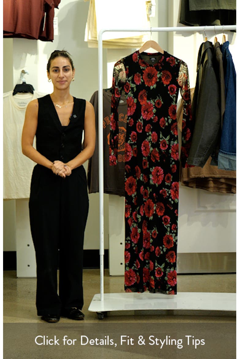 Didi Printed Long Sleeve Mesh Maxi Dress video