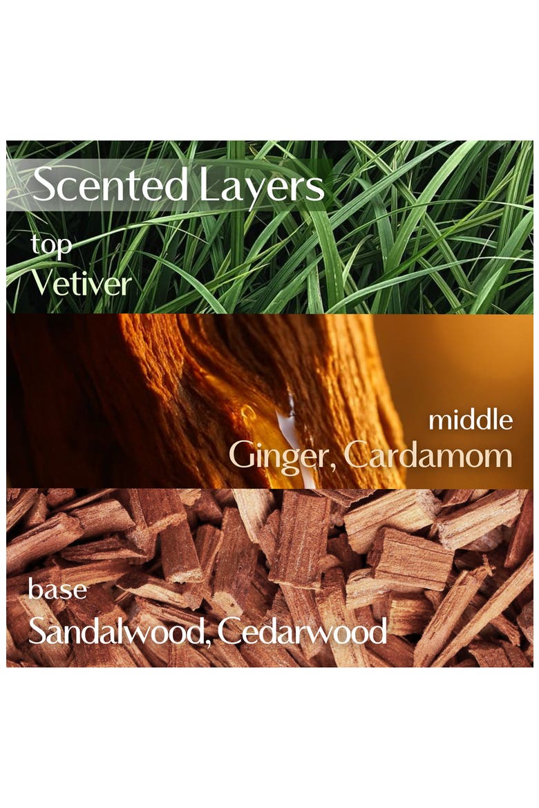 Nearby Body Lotion, Alternate, color, DESERT WOOD
