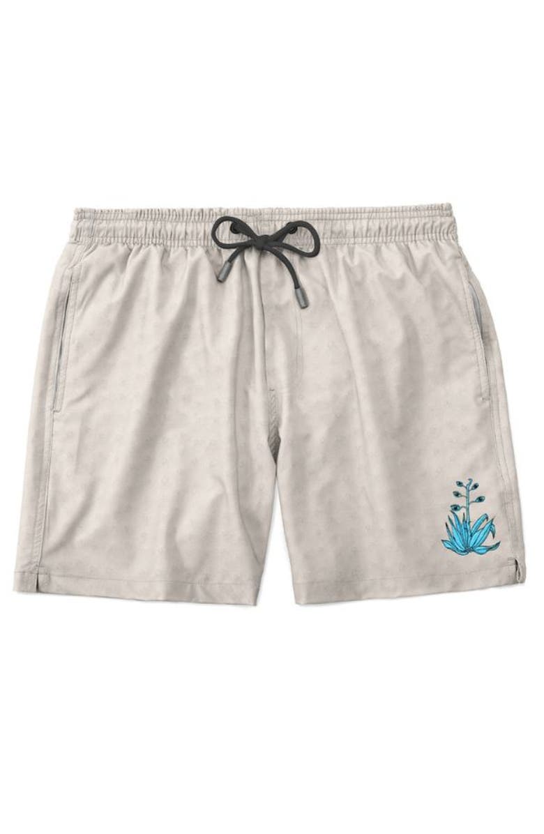 Baja Llama NO DROUGHT NO DOUBT - STRETCH SWIMSUIT, Main, color, Beige