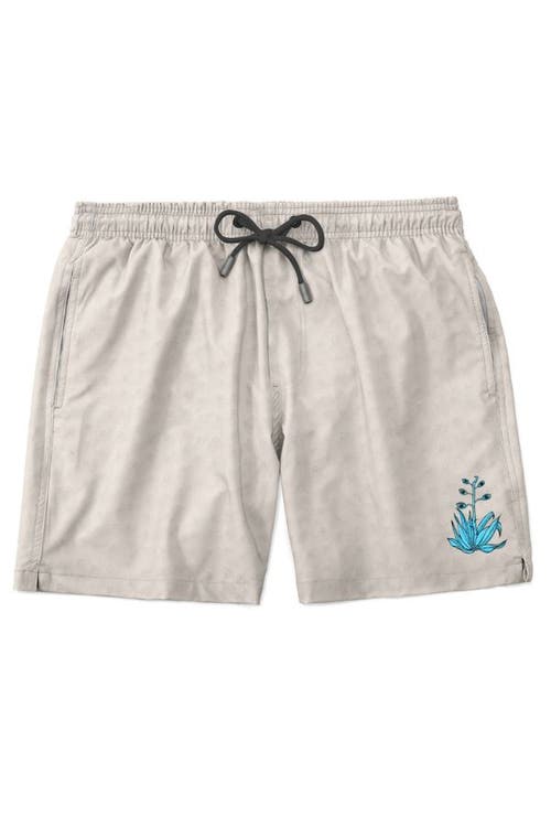 Baja Llama NO DROUGHT NO DOUBT - STRETCH SWIMSUIT in Beige 