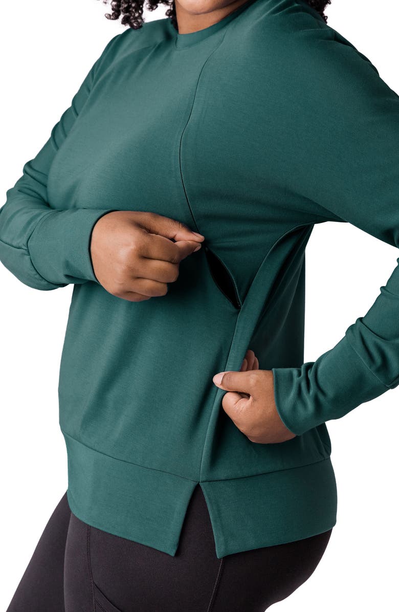 Kindred Bravely Relaxed Fit Maternity/Nursing Sweatshirt, Alternate, color,