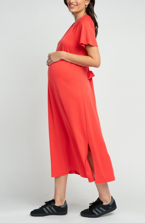 Shop Seraphine Maternity T-shirt Dress In Coral