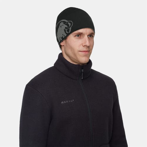 Mammut Logo Beanie In Gray