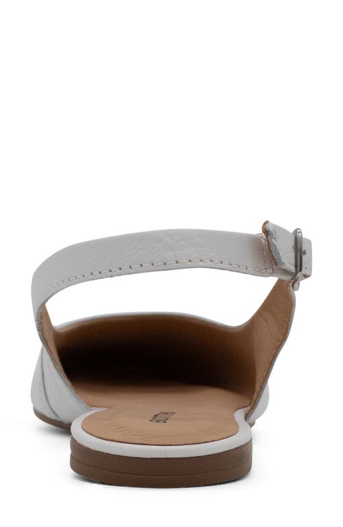 Bottero Botsamya Xxiv Slingback Flat