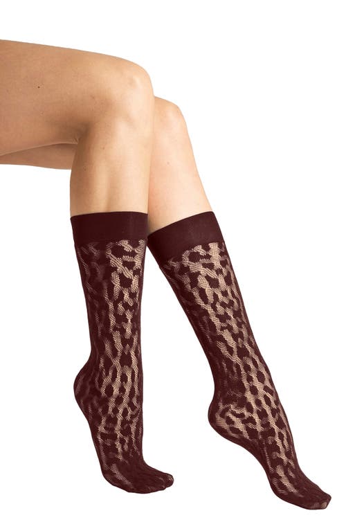 Wolford Reptile Knit High Socks In Brown