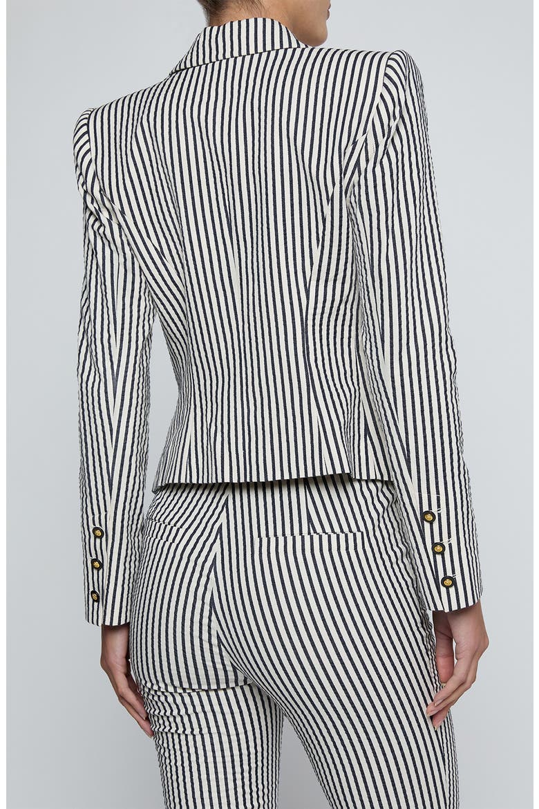 Misa Stripe Blazer, Alternate, color, IVORY/ MIDNIGHT STRIPE