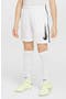 Kids' Dri-FIT Mesh Athletic Shorts