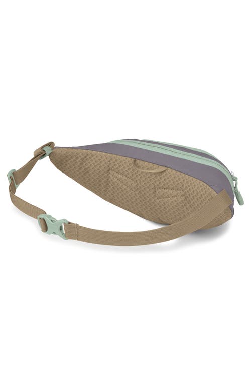 Osprey Daylite Mini Waist Pack In Blue