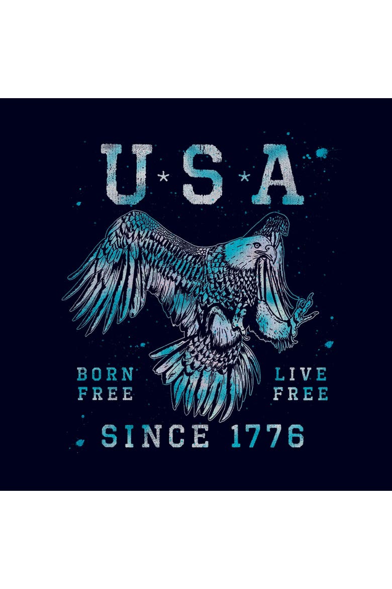 Men's Lost Gods USA Born and Live Free  Graphic T-Shirt, Alternate, color, Navy Blue