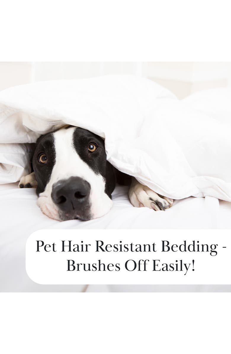 SOUTHSHORE FINE LINENS Vilano Oversize Quilt Set, Alternate, color, Dark Taupe