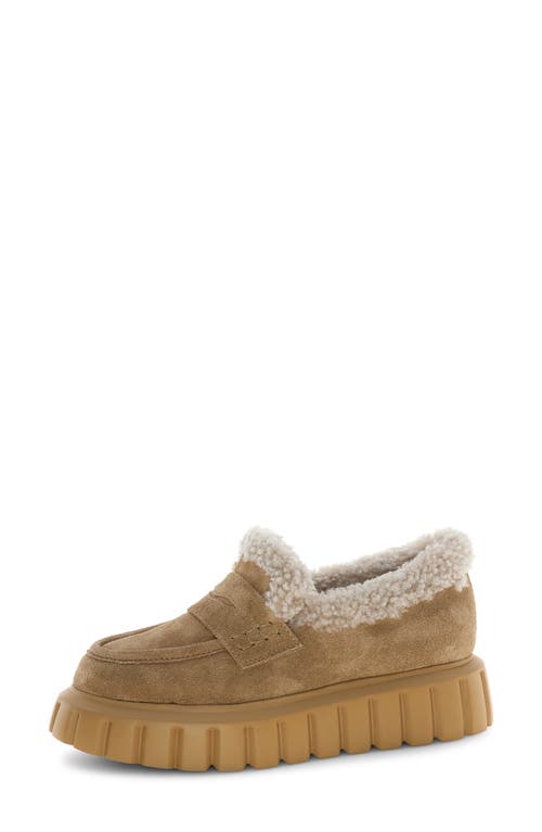 Voile Blanche Grenelle Genuine Shearling Platform Loafer In Brown