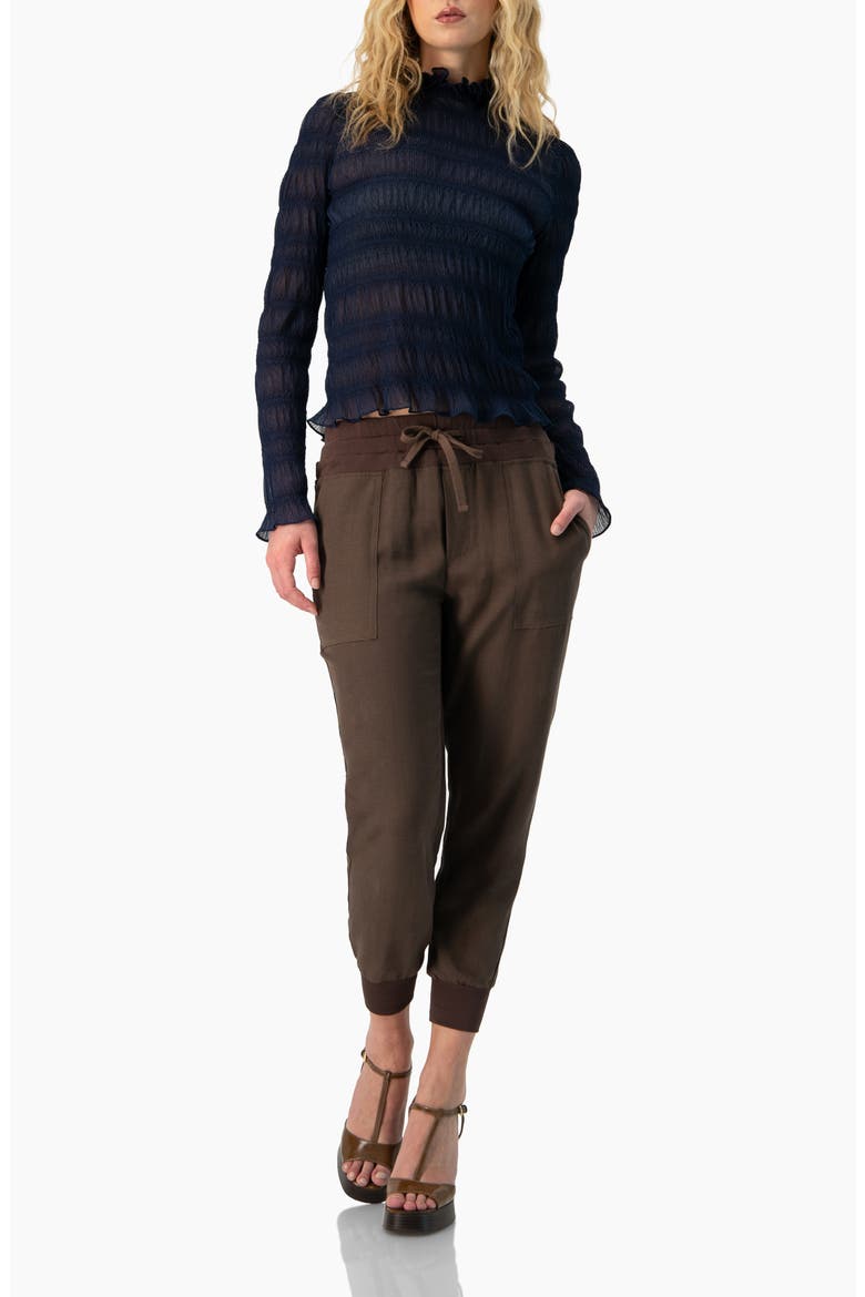 See-Through Long Sleeve High Neck Blouse, Alternate, color, Navy Blue
