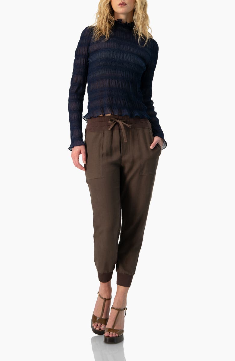 IVONNE See-Through Long Sleeve High Neck Blouse, Alternate, color, Navy Blue