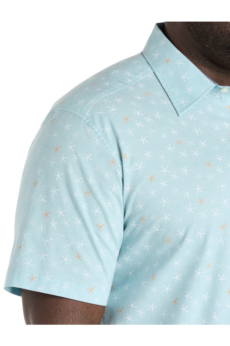 Big & Tall Starfish Printed Sport Shirt, Alternate, color, BCHBALLBLU