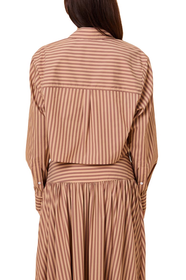 Avril Cropped Striped Shirt, Alternate, color, WALNUT CAMEL