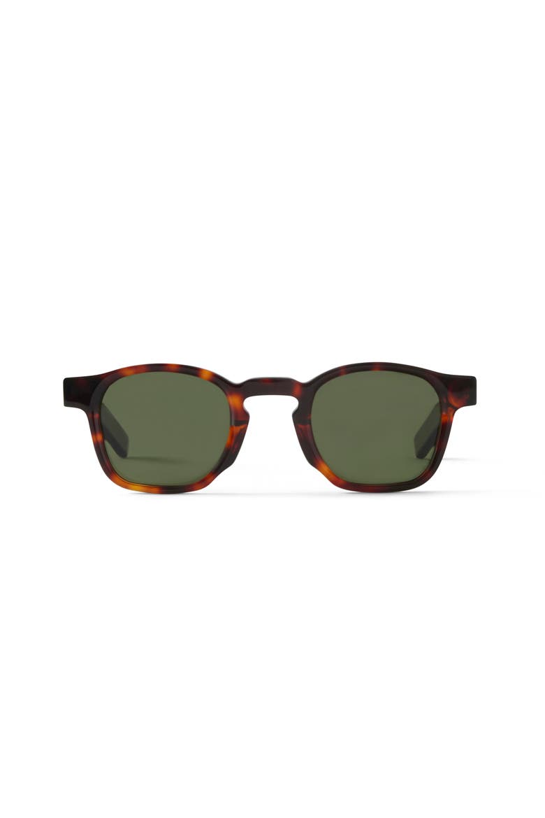 Enzo Sunglasses, Main, color, Tortoise