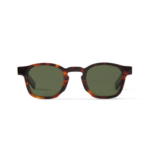 Enzo Sunglasses