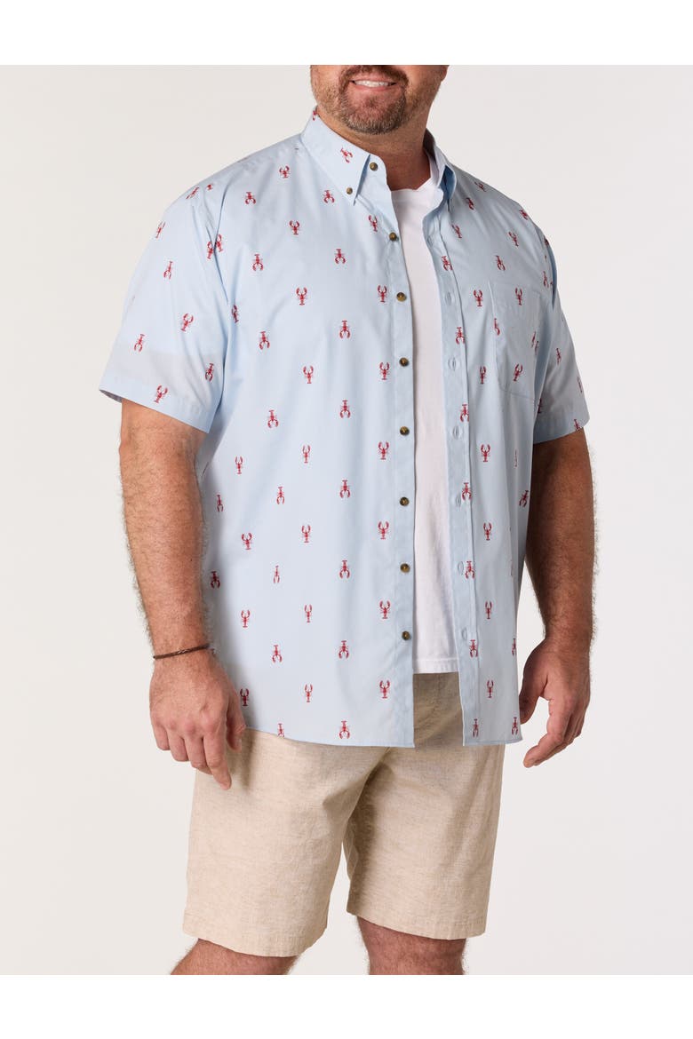 Big & Tall Easy-Care Lobster Print Sport Shirt, Alternate, color, BLUE RED