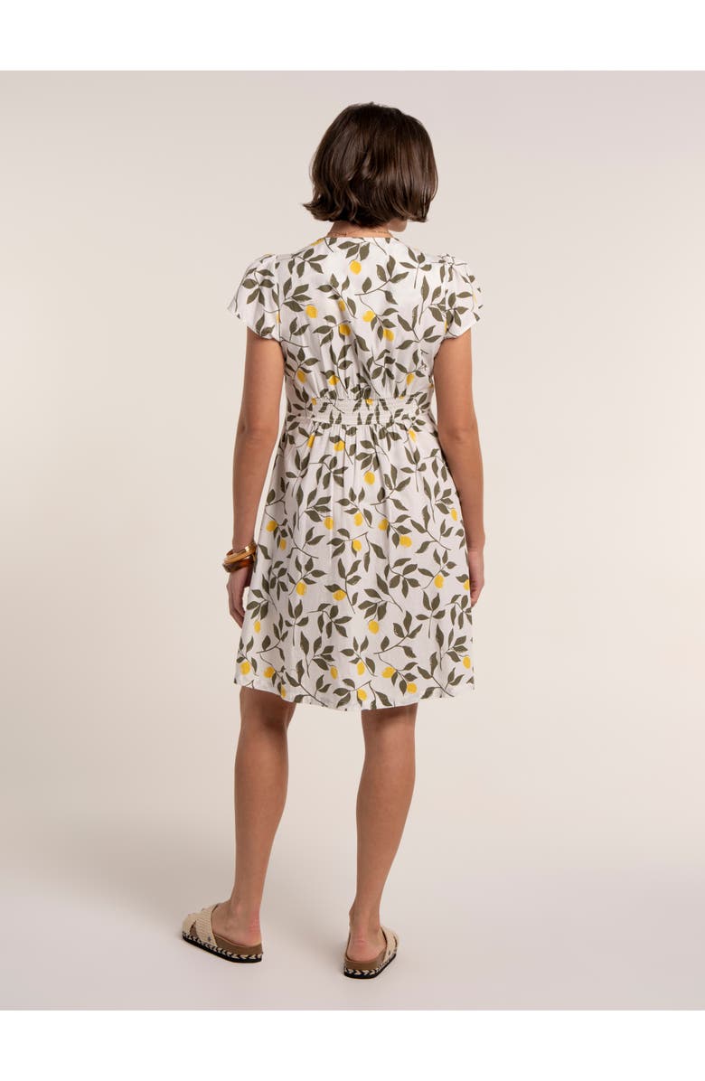 Brakeburn Renata Dress, Alternate, color, Cream