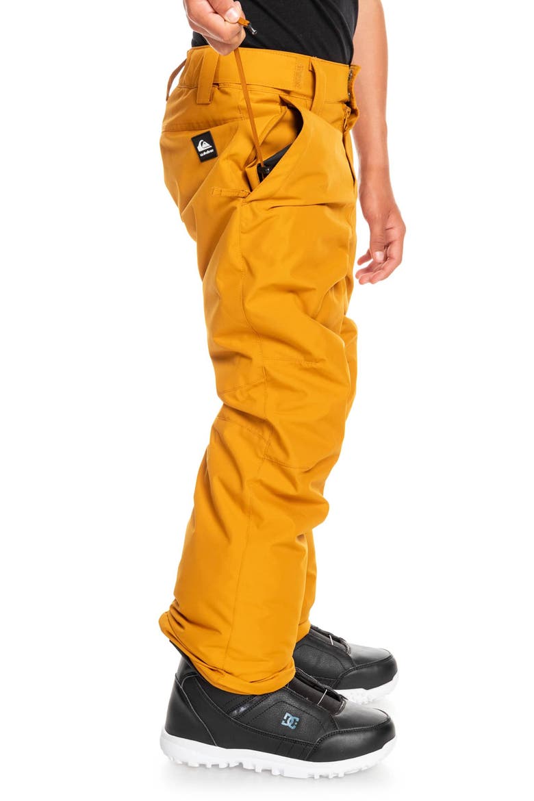 Kids' Estate Waterproof Snow Pants, Alternate, color, BUCKTHORN BROWN