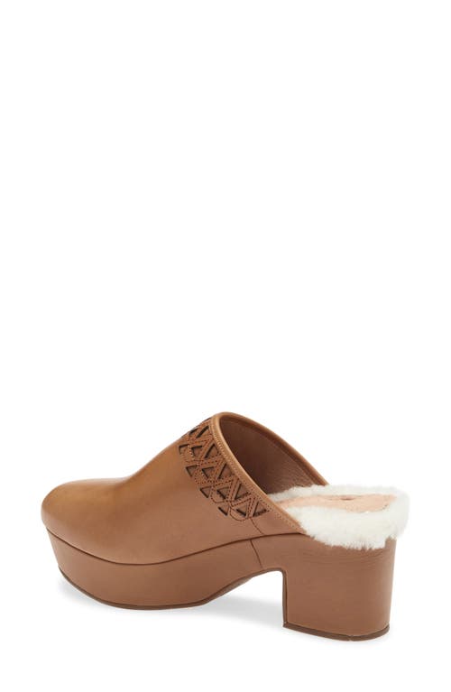 Chocolat Blu Gannet Platform Clog In Brown
