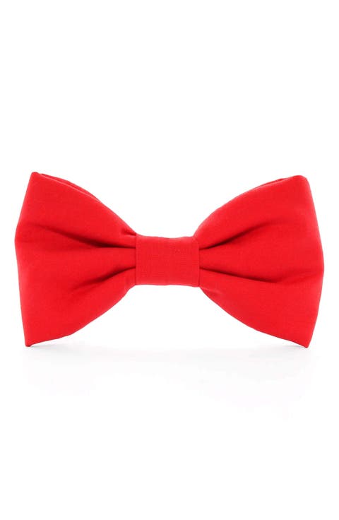 Dog Bow Tie