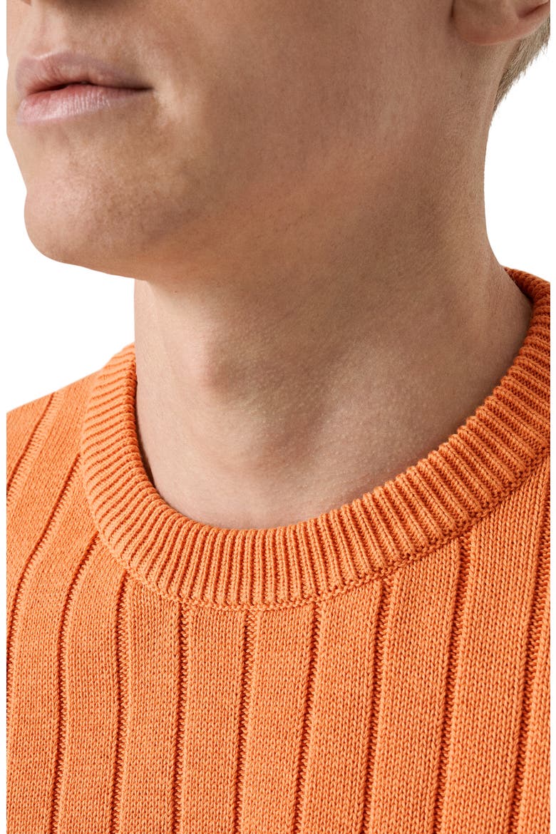 Rib Knit Cotton Crewneck Sweater, Alternate, color, MEDIUM ORANGE
