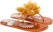 FARM Rio Flower Jelly Flip Flop
