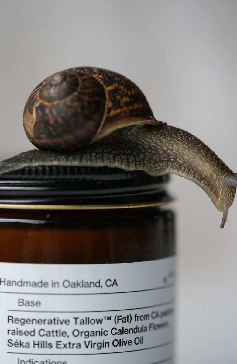 Summer Solace Tallow Pure Unscented Balm Regenerative Tallow Balm, Alternate, color, Small (60Ml)