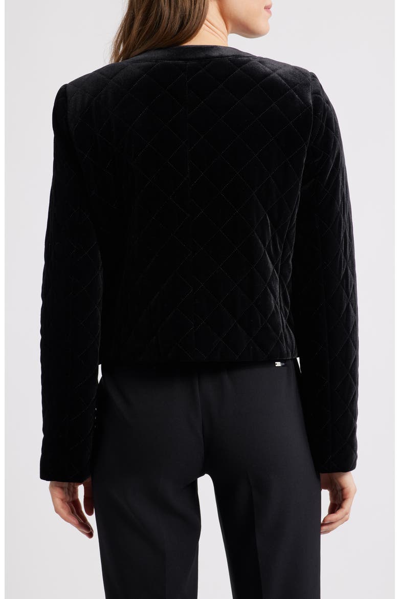 Quilted Crop Velvet Jacket, Alternate, color, BLACK