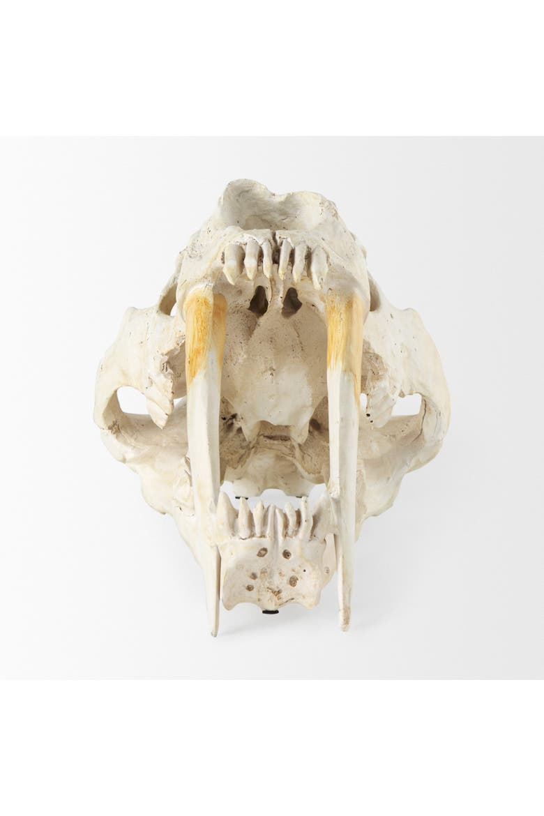 Fozzil 9L x 9W Resin Sabretooth Skull Replica, Alternate, color, Beige