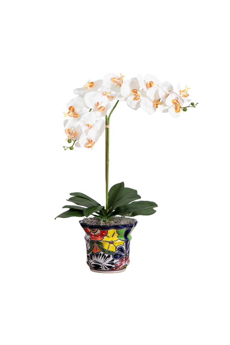 26-in Artificial Double Orchid Arrangement in Handmade Mexican Talavera Ceramic Planter, Main, color, Green