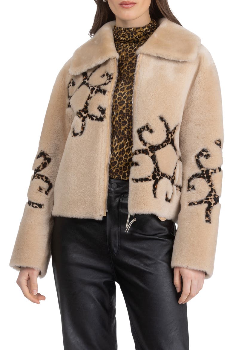 Genuine Shearling Jacket with Gorski Insignia Intarsia, Reversible, Alternate, color, PALOMINO/LPRD